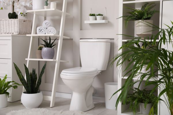 Cost of Toilet Repair in Westminster