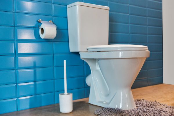 Toilet Tank Repair in Westminster