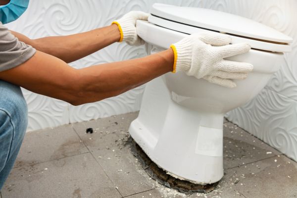 Cost of Toilet Removal in Westminster